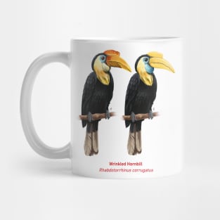 Wrinkled hornbill | Rhabdotorrhinus corrugatus ⚥ Mug